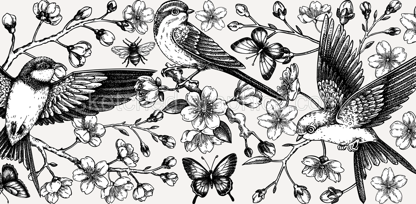 Hand drawn floral illustration for print. T-shirt design. Cherry blossom and flying bird sketch illustration. Vintage spring background. NOT AI generated Illustration